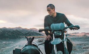 ブラックドッグ,映画,配信,